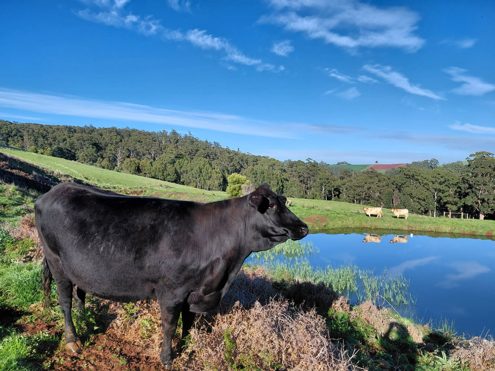 Perry's Farm image