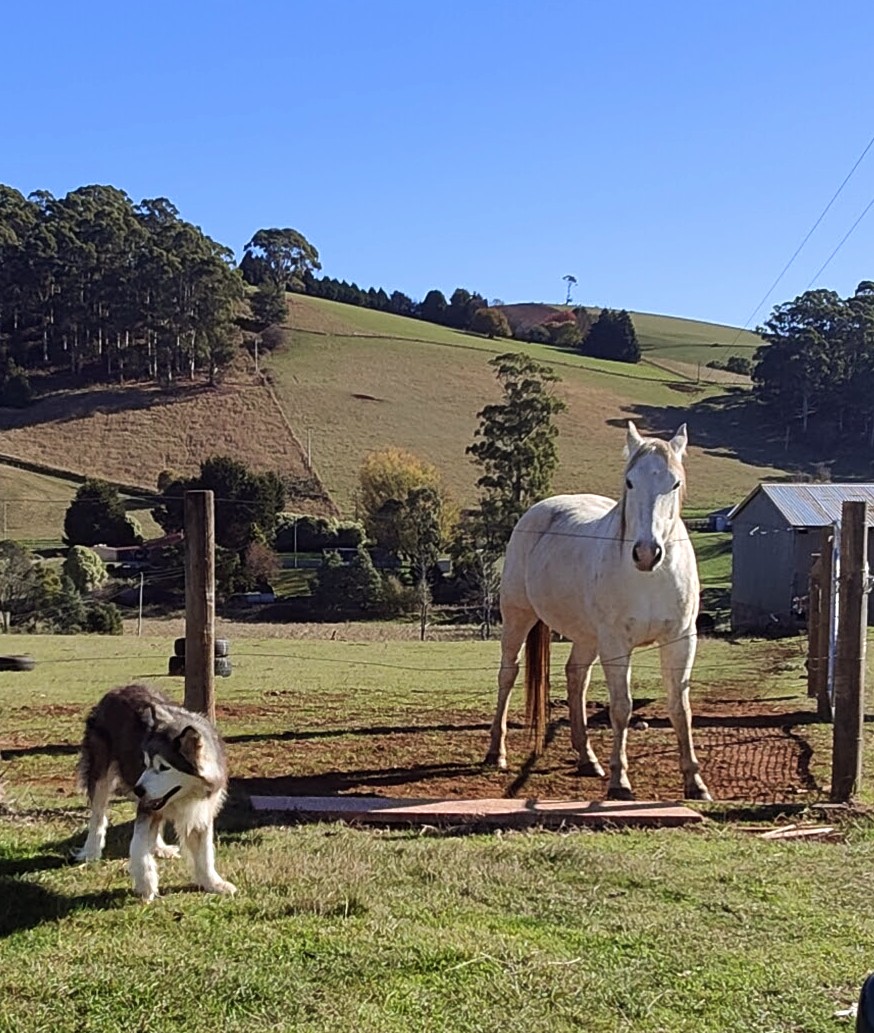 Perry's Farm image